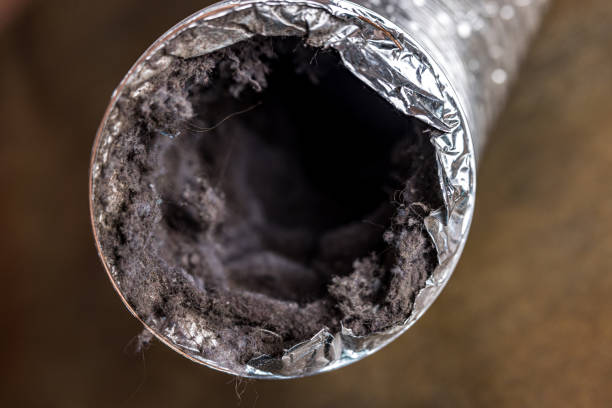 Best Air Duct Cleaning Company Near Me  in Hunters Creek Village, TX